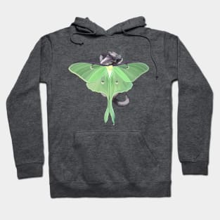 Luna Moth Flitter Kitty Hoodie